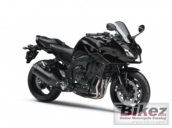 2010 Yamaha FZ1 Fazer ABS photo